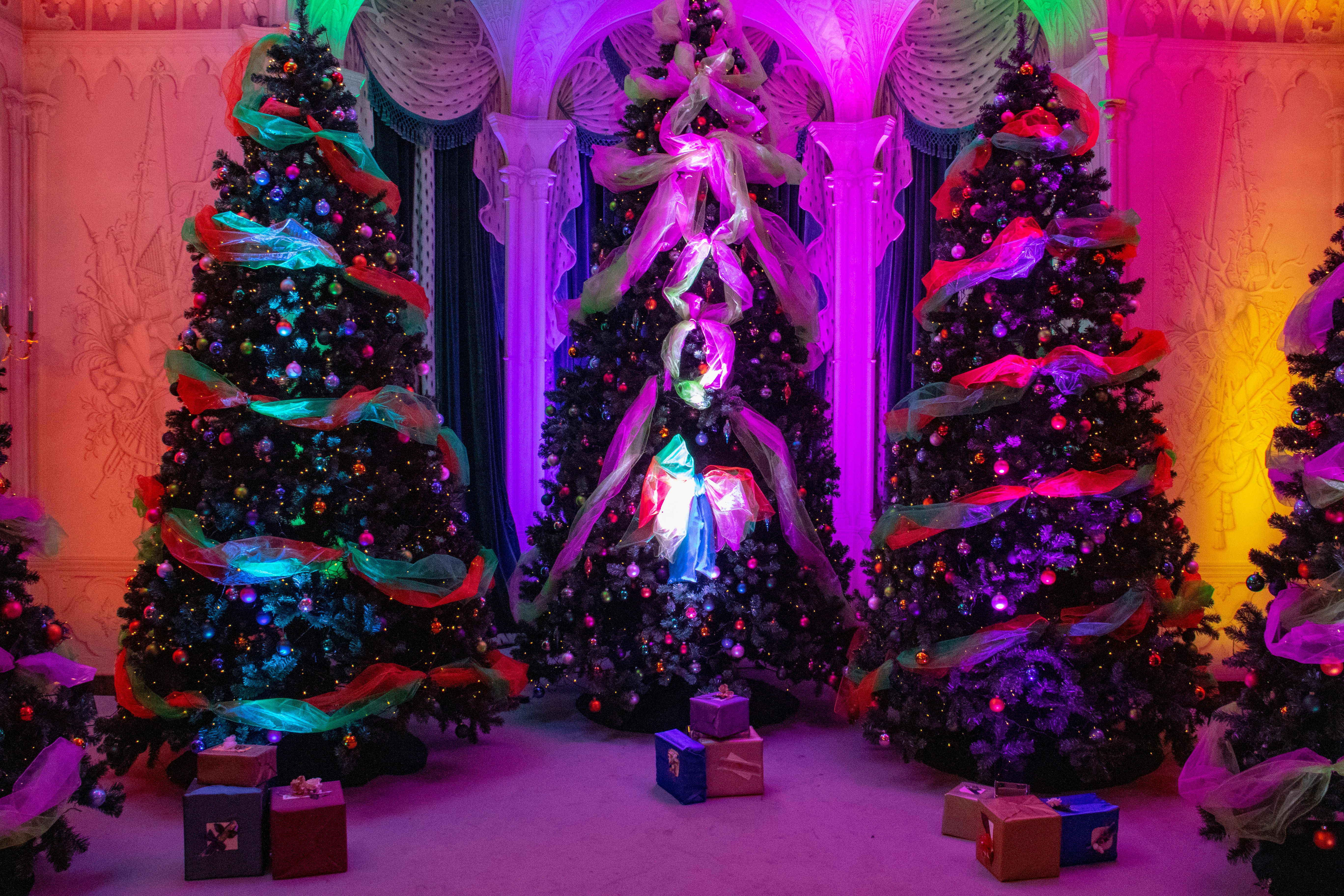 five assorted-color christmas trees with lights and gifts inside room